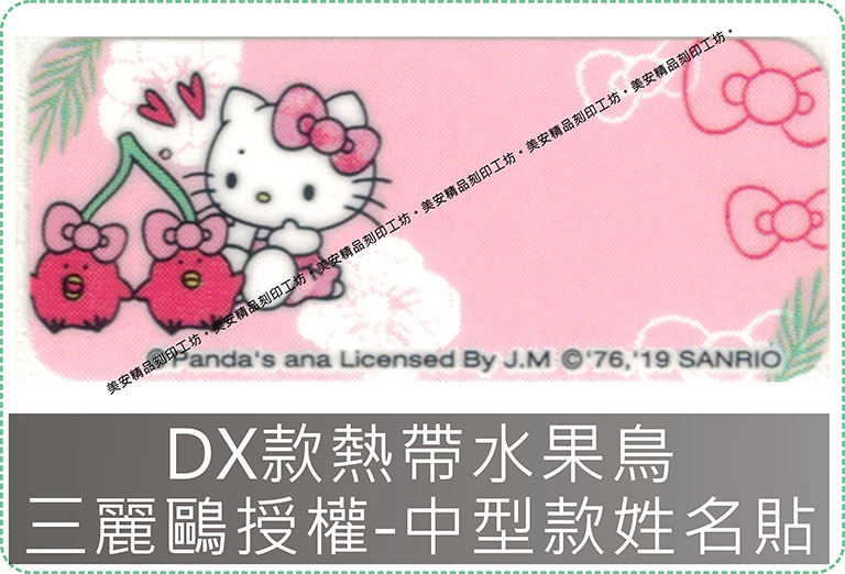 DX款熱帶水果鳥三麗鷗授權-中型款姓名貼紙