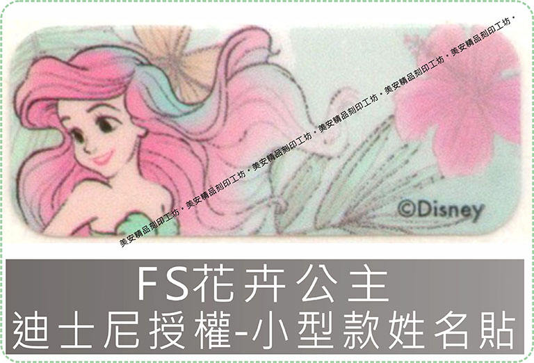 FS花卉公主迪士尼授權-小型款姓名貼紙