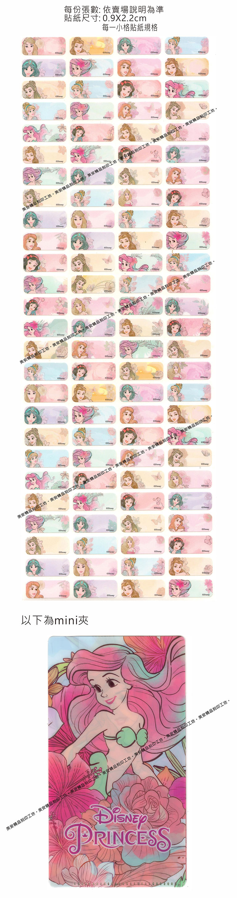 FS花卉公主迪士尼授權-小型款姓名貼紙